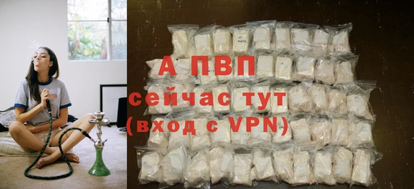 тгк Богородицк