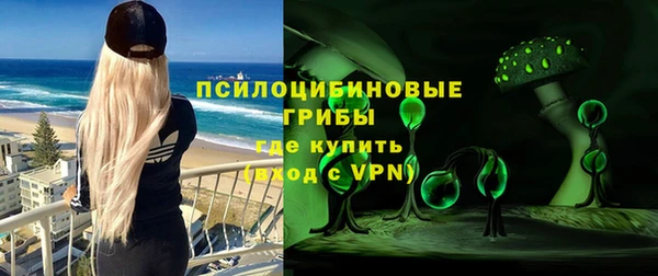 тгк Богородицк