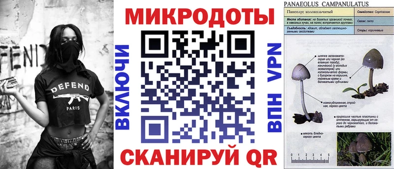 Псилоцибиновые грибы GOLDEN TEACHER  сколько стоит  Дагестанские Огни 